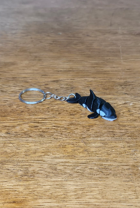 Orca