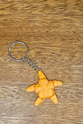Estrela do Mar